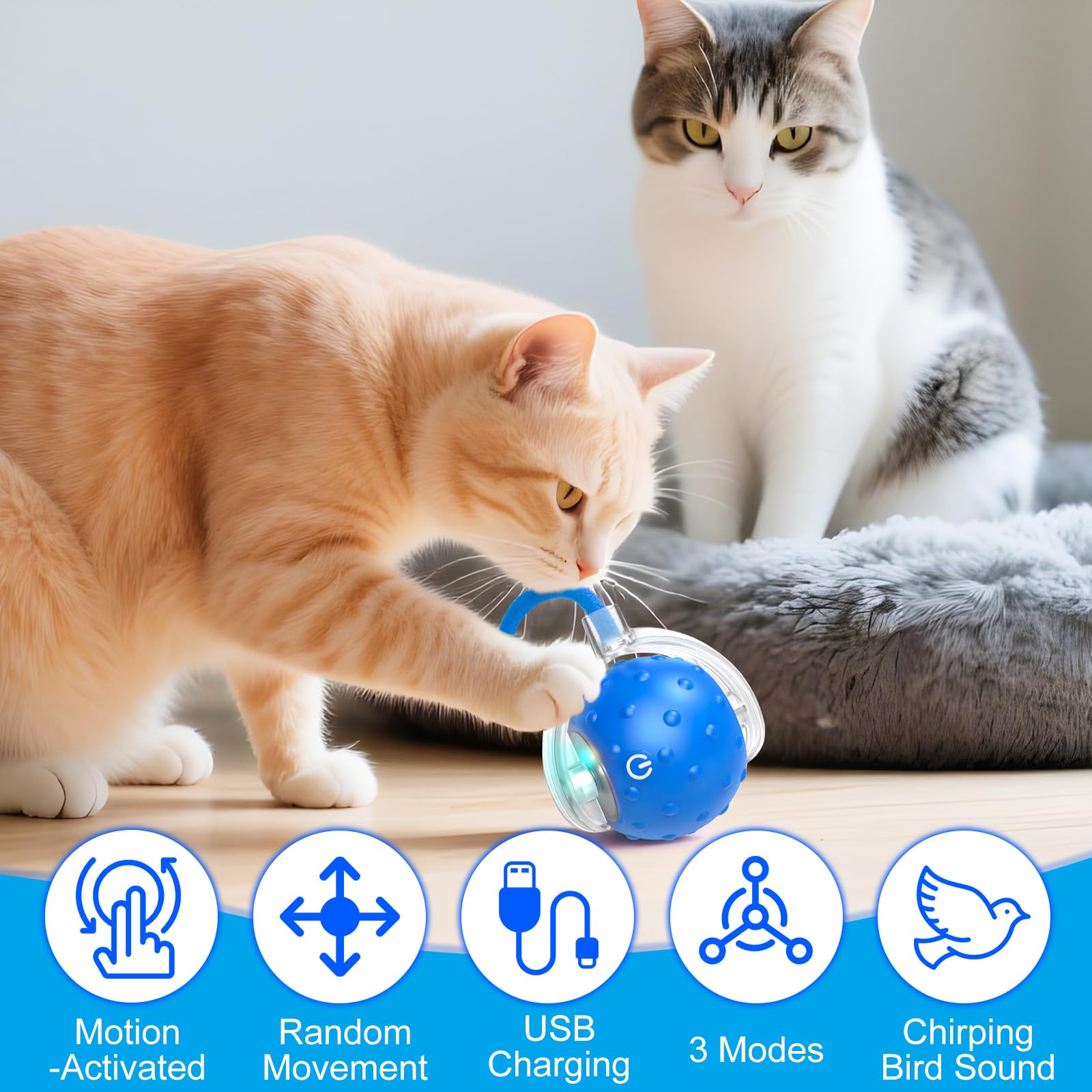 BSolus TinyFetch birdchirp sound close-up guiding pets to play