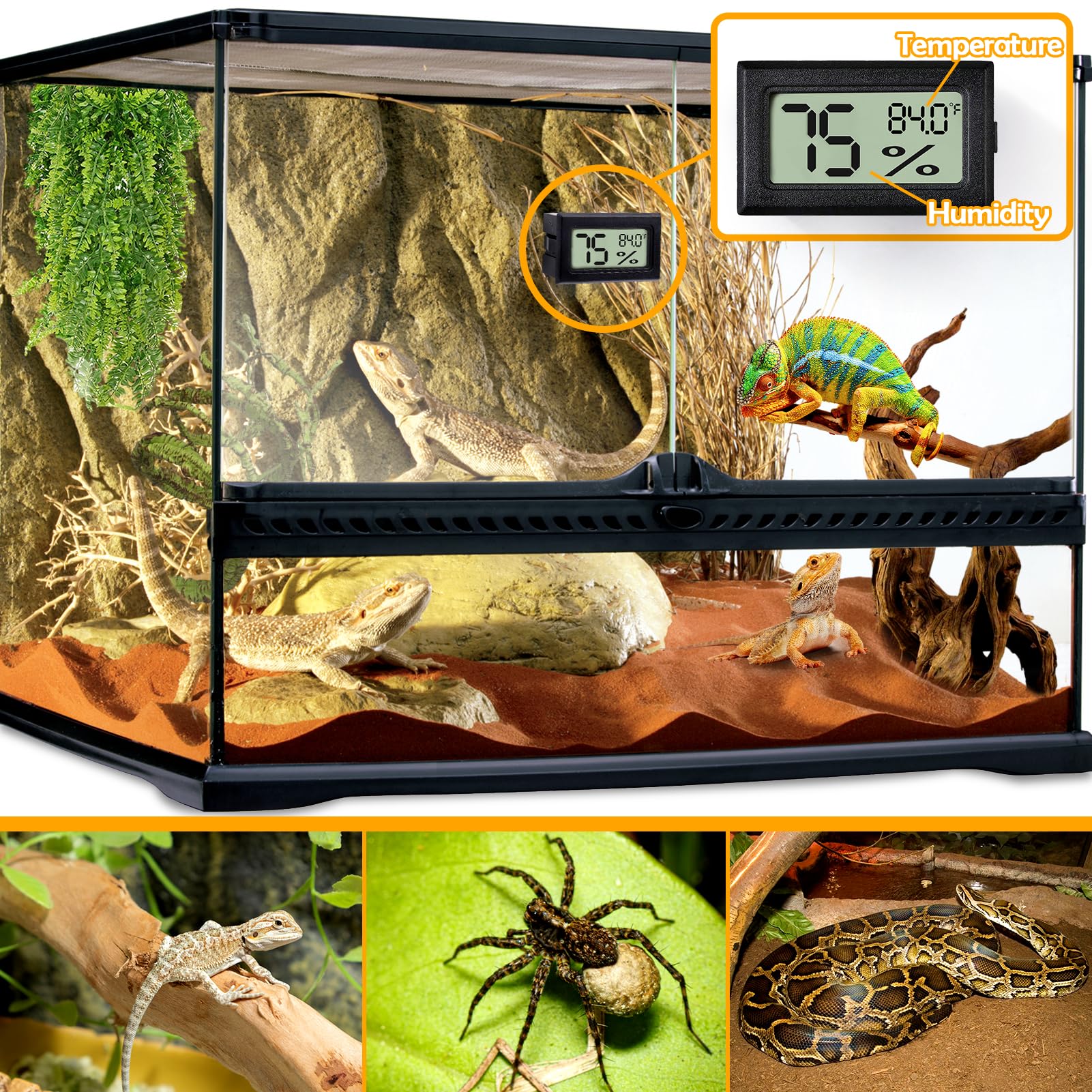 BSRESIN rectangle thermometer display showing temperature and humidity readouts in terrarium