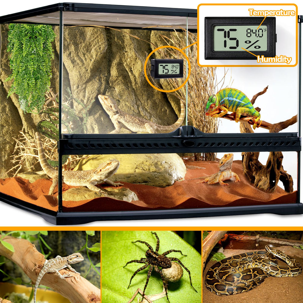 BSRESIN rectangle thermometer display showing temperature and humidity readouts in terrarium