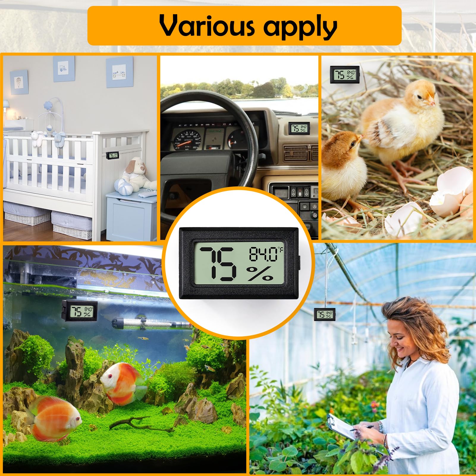 BSRESIN temperature humidity specs reveal wide range for diverse terrarium climates