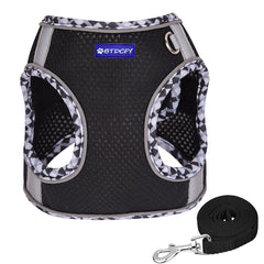 BTDCFY Step-in Mesh Harness front D-ring for ID tag or light attachment.