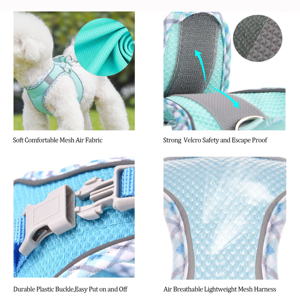 BTDCFY Nylon leash, 5ft, provides controlled walking during outings.
