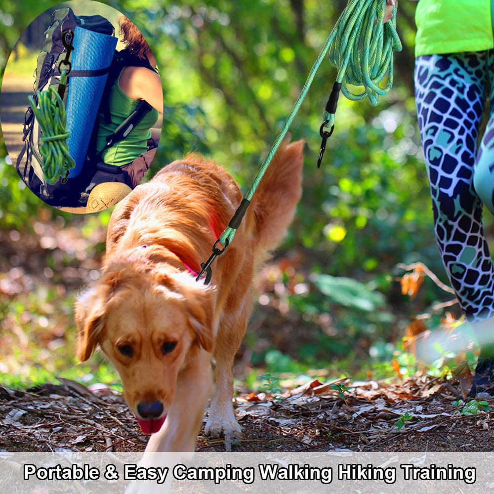 BTINESFUL anchor-post tether-use image captures practical versatility