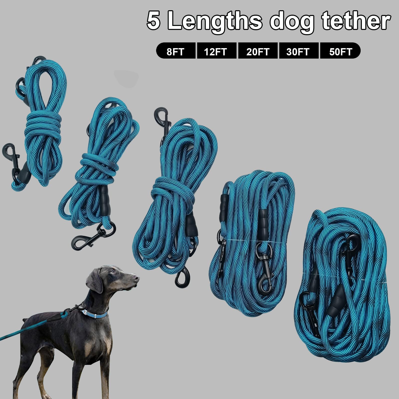 BTINESFUL bright colors tie-out rope in outdoor play enhances visibility for pets.