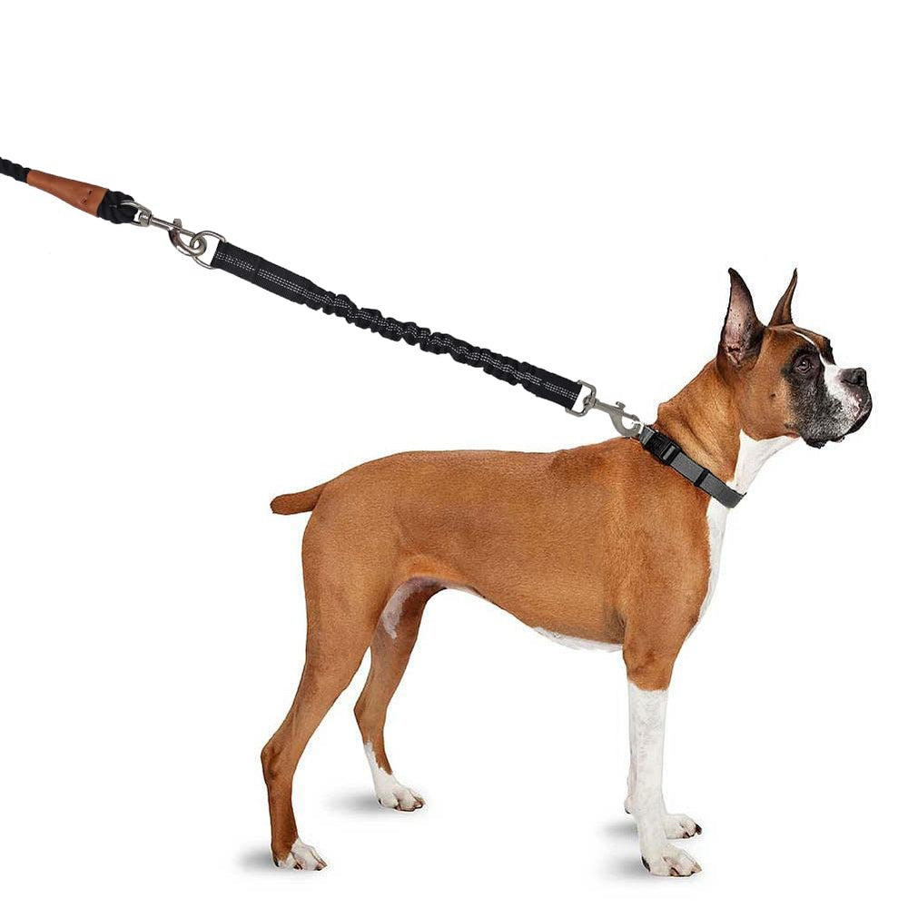 BTINESFUL Bungee Leash Extension sturdy silver snap hook for secure attachment.