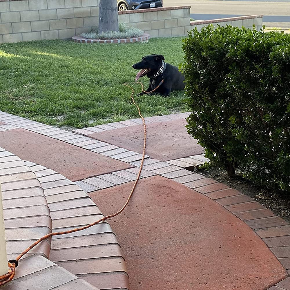 BTINESFUL dog tie-out rope 50ft bright colors offers extended reach for larger yards.