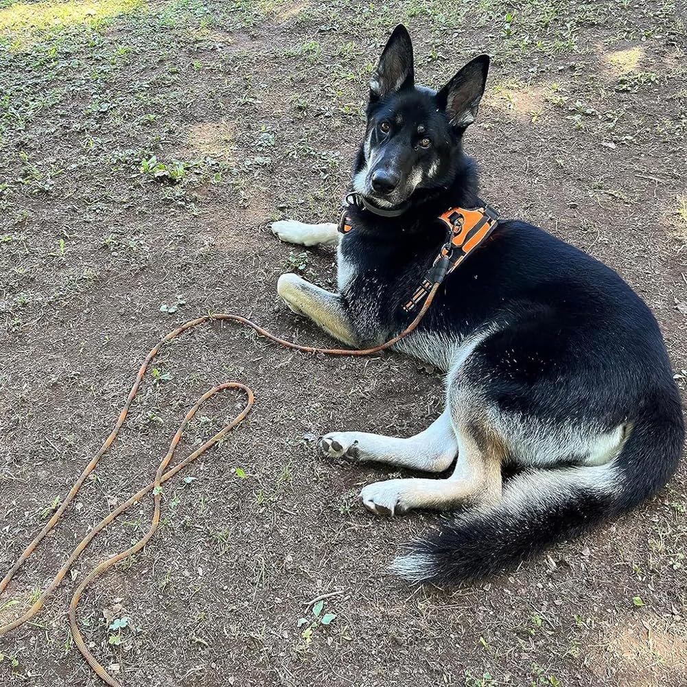 BTINESFUL dog tie-out rope escape-proof feel aids secure outdoor tethering.