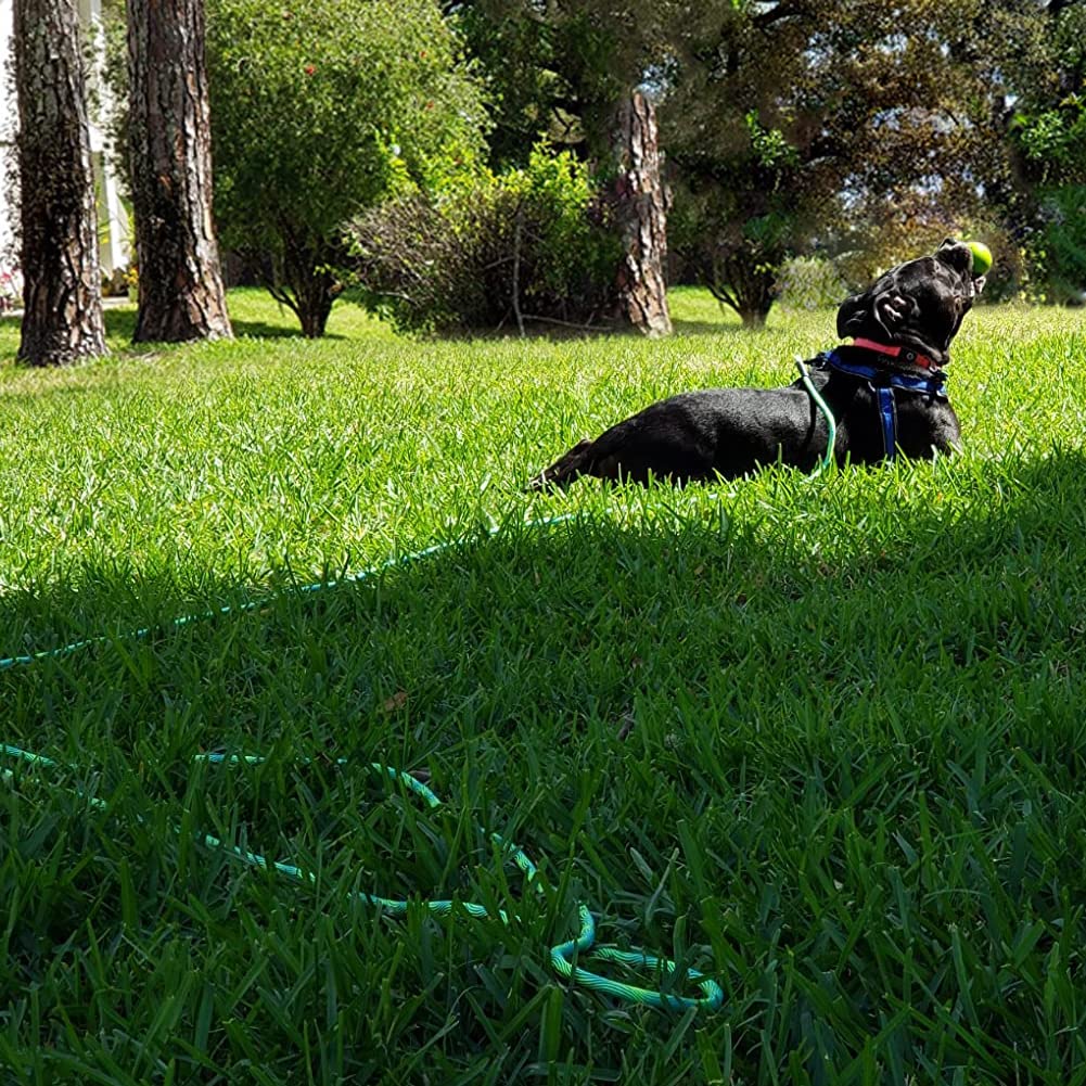 BTINESFUL long tether rope supports training, play, and secure outdoor tethering