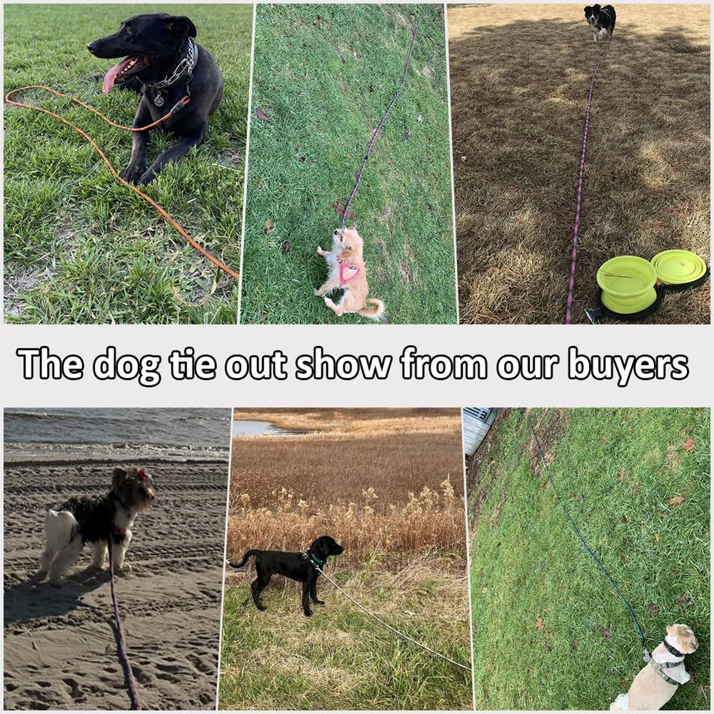 BTINESFUL dog tie-out in yard setup demonstrates post or tree tethering