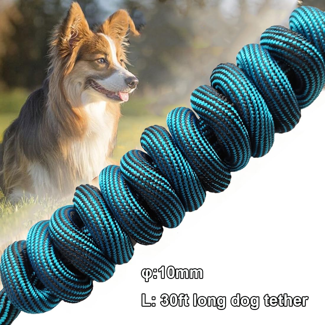 BTINESFUL lightweight-nylon-rope offers flexible, tangle-free performance for dogs.