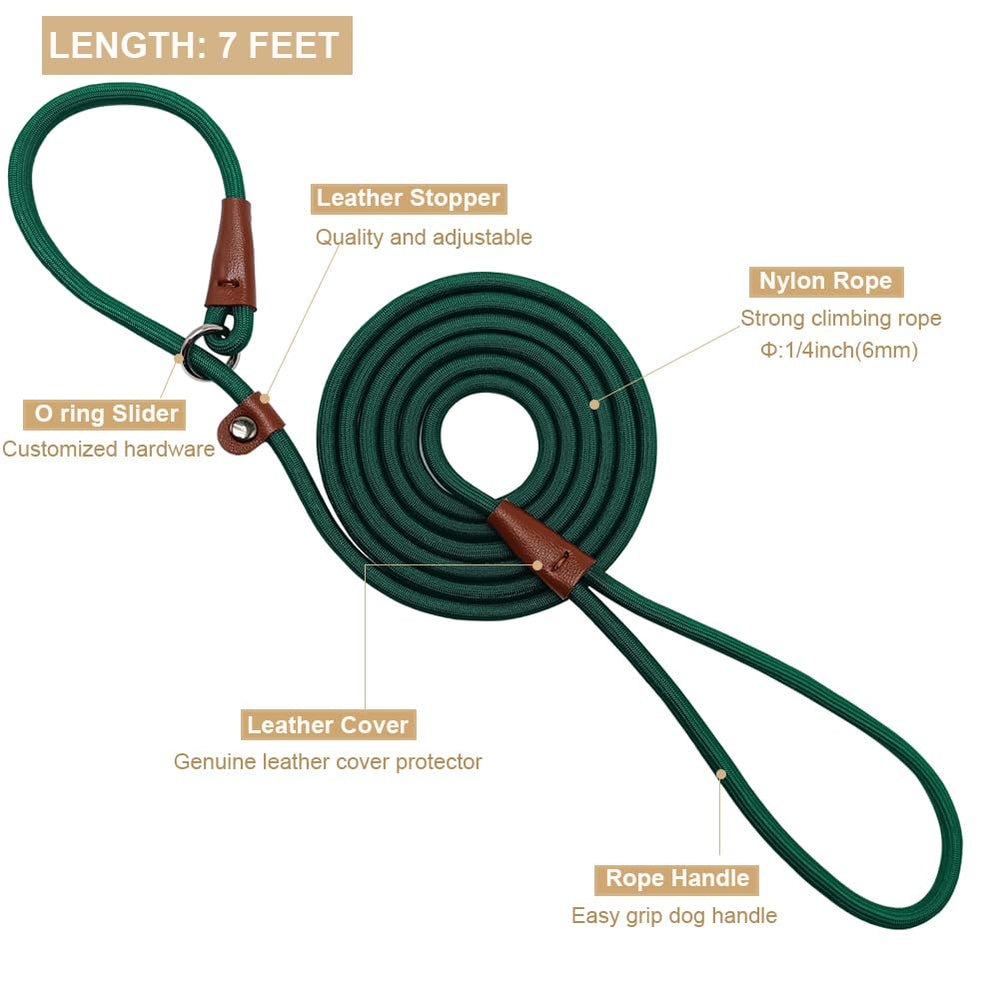 BTINESFUL nylon rope no-pull leash showing durable round cord for strong pullers.