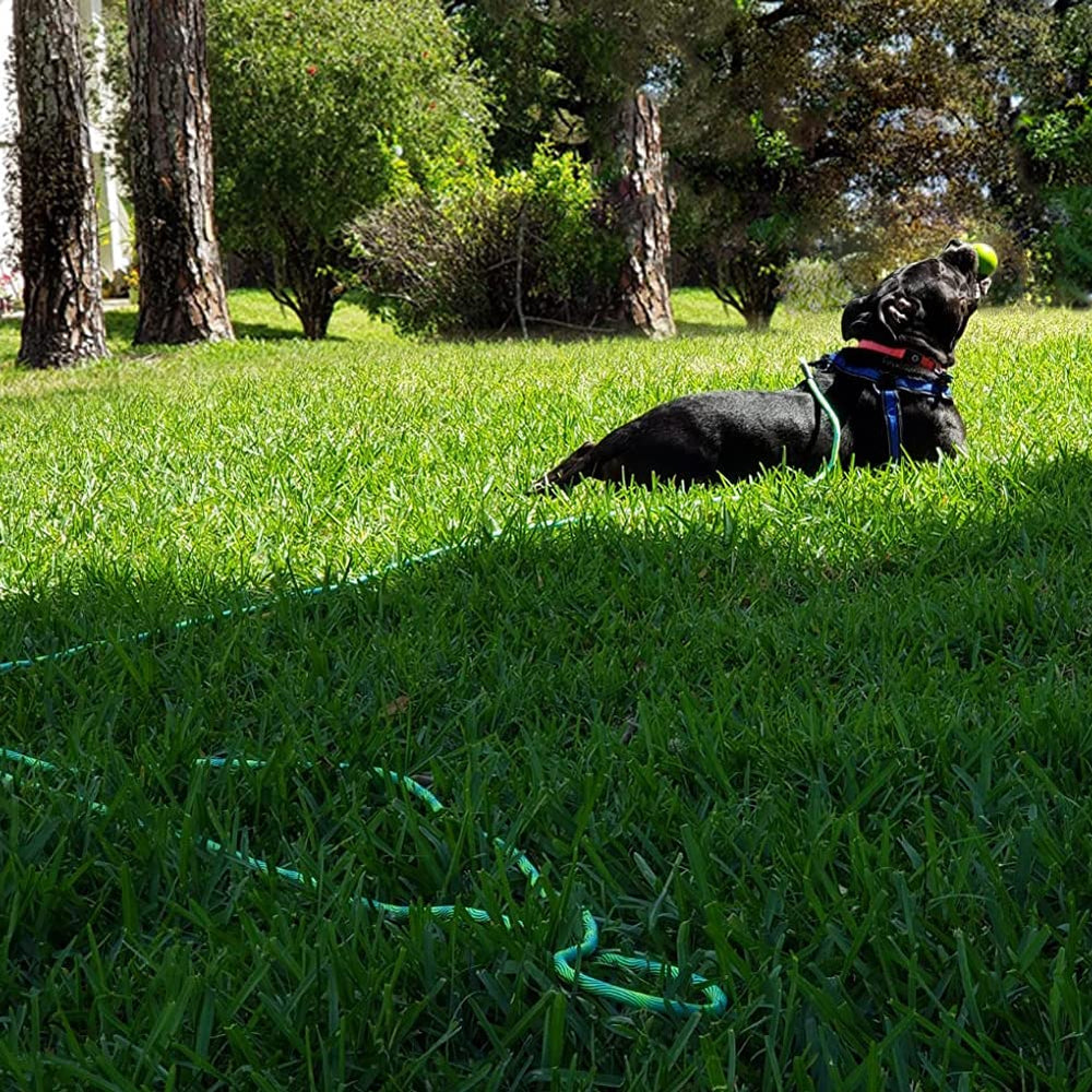BTINESFUL six bright colors rope aids quick visibility in grass and woods