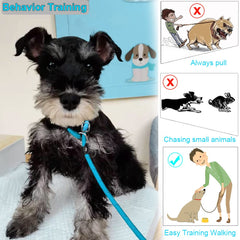 BTINESFUL slip lead 20ft long training enables distance work for calm dogs.