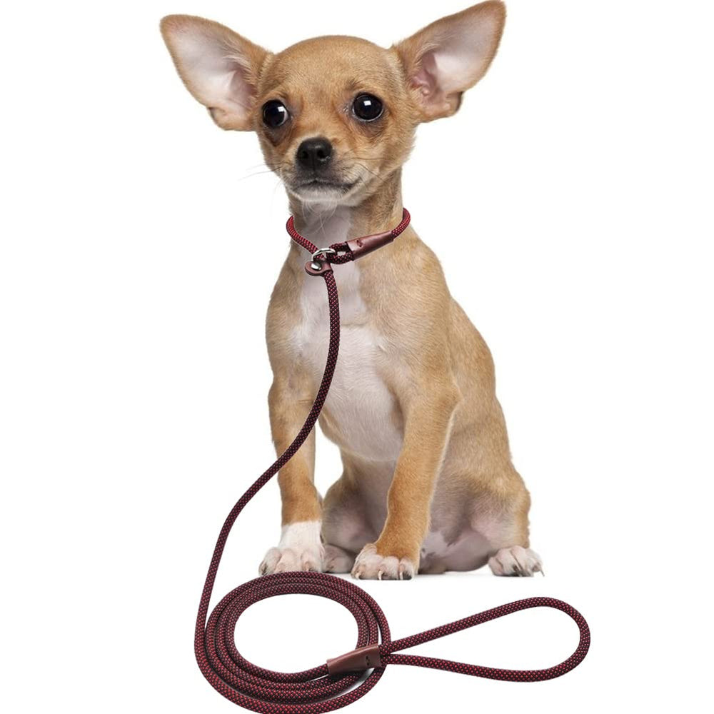 BTINESFUL compact storage slip lead for easy travel and quick setup