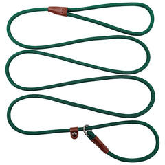 BTINESFUL slip lead 7ft leash for controlled walks and training.