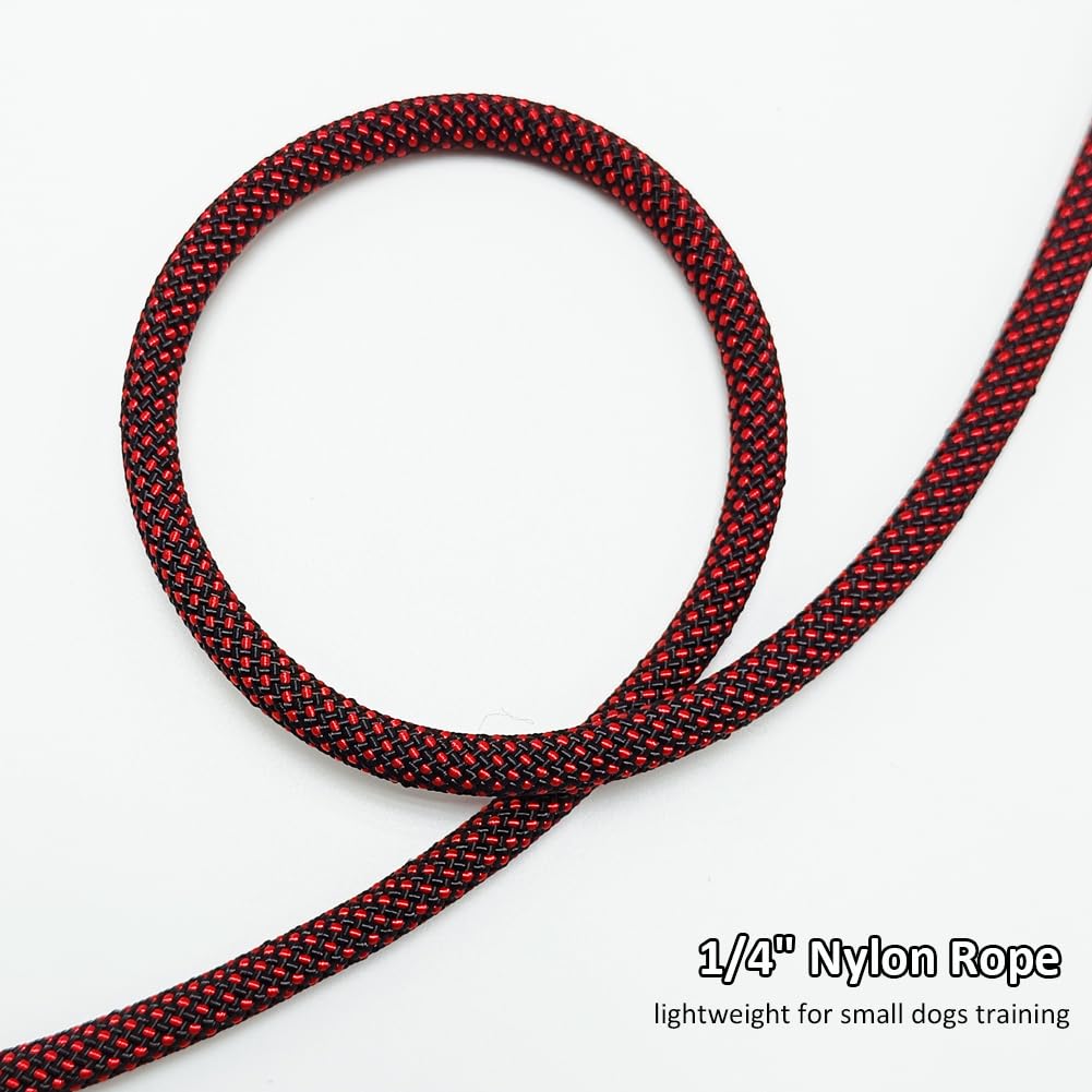 BTINESFUL 7ft slip lead in motion showing controlled walking and safety