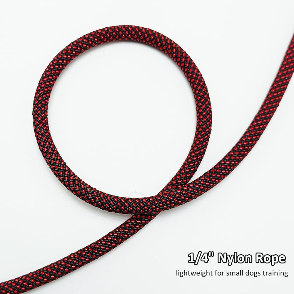 BTINESFUL 7ft slip lead in motion showing controlled walking and safety