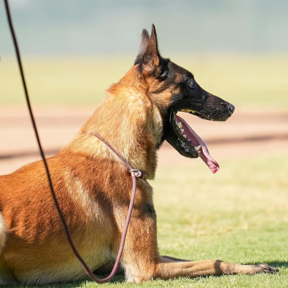 BTINESFUL 7ft slip lead guiding dog with maximum control during hikes