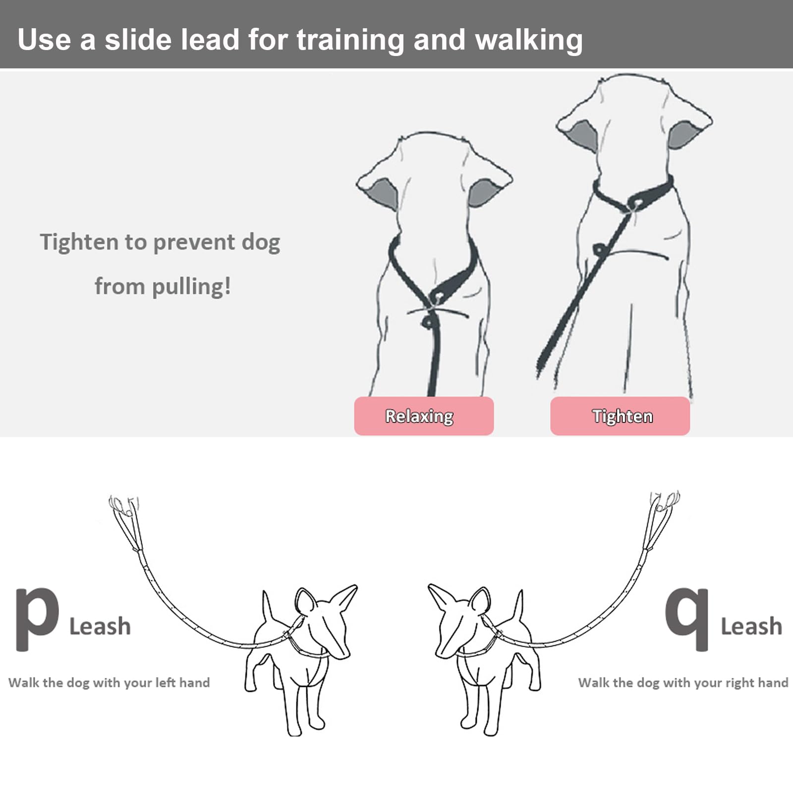 BTINESFUL slip lead without-collar use showcases easy on-off convenience
