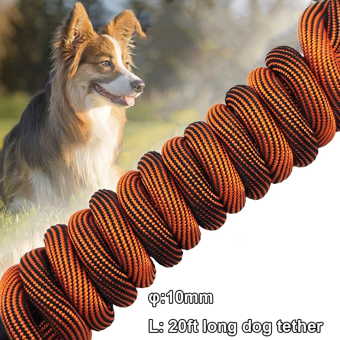 BTINESFUL tie-out rope backyard tether setup securely anchors to a post
