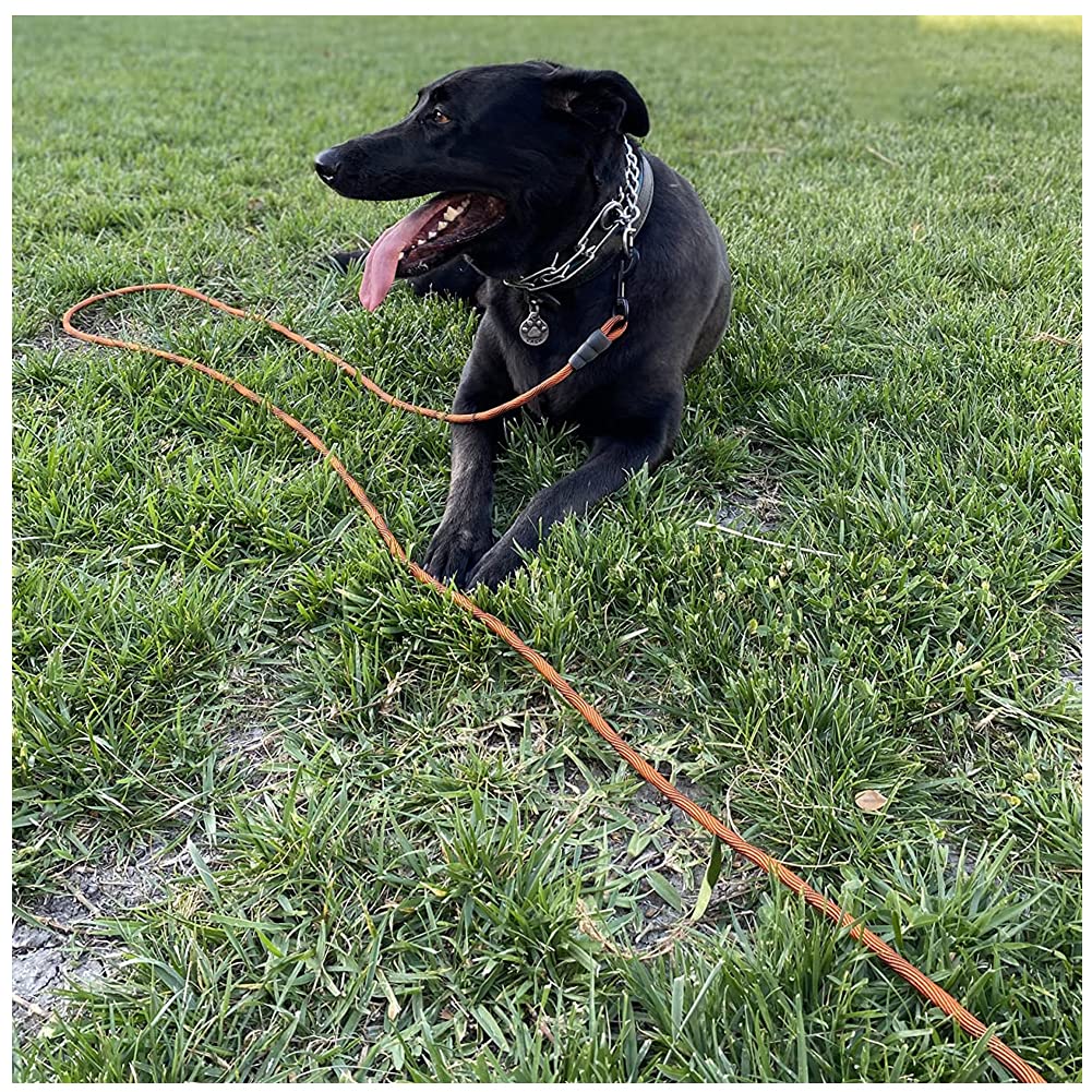 BTINESFUL tie-out rope lightweight yet strong for dogs of various sizes