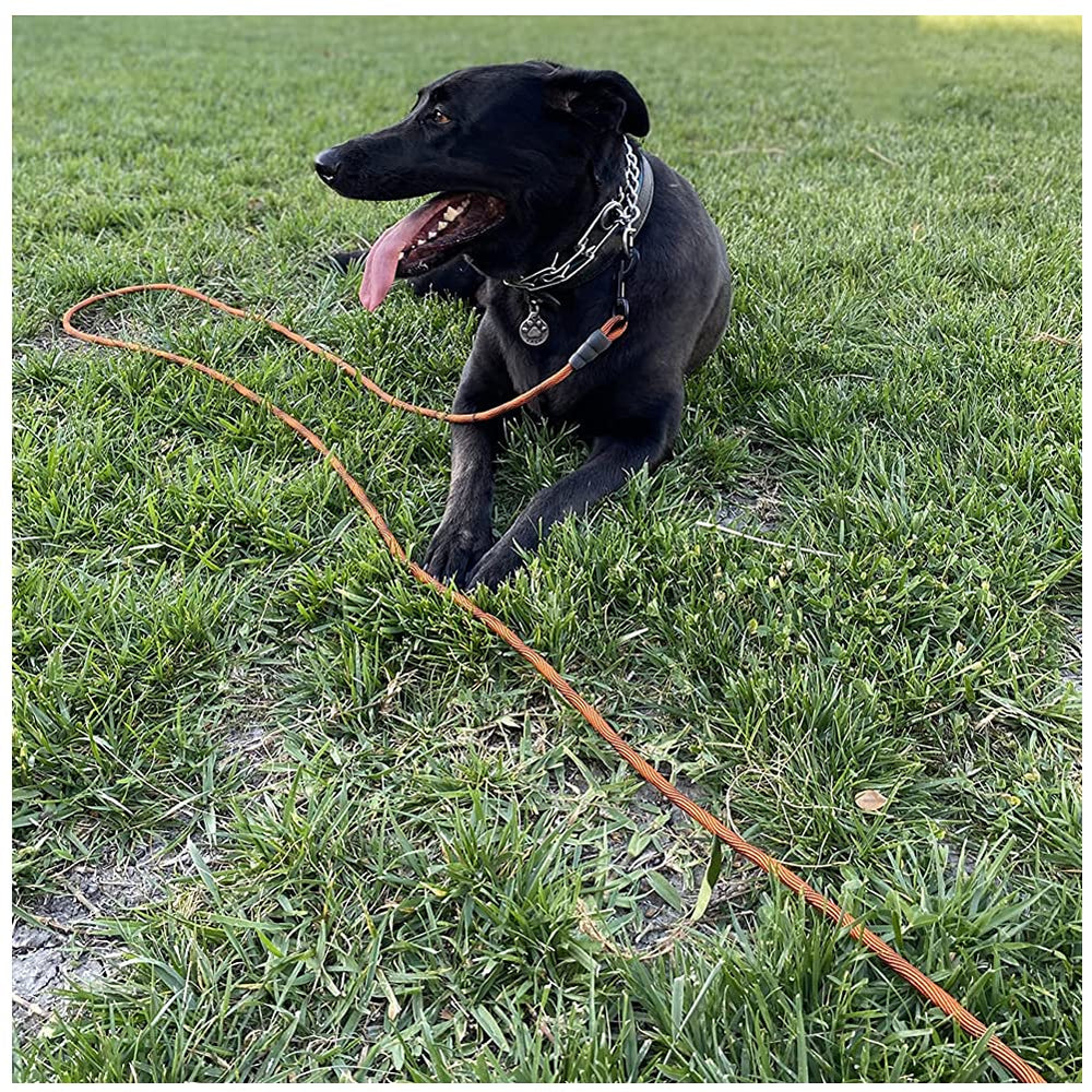 BTINESFUL tie-out rope lightweight yet strong for dogs of various sizes