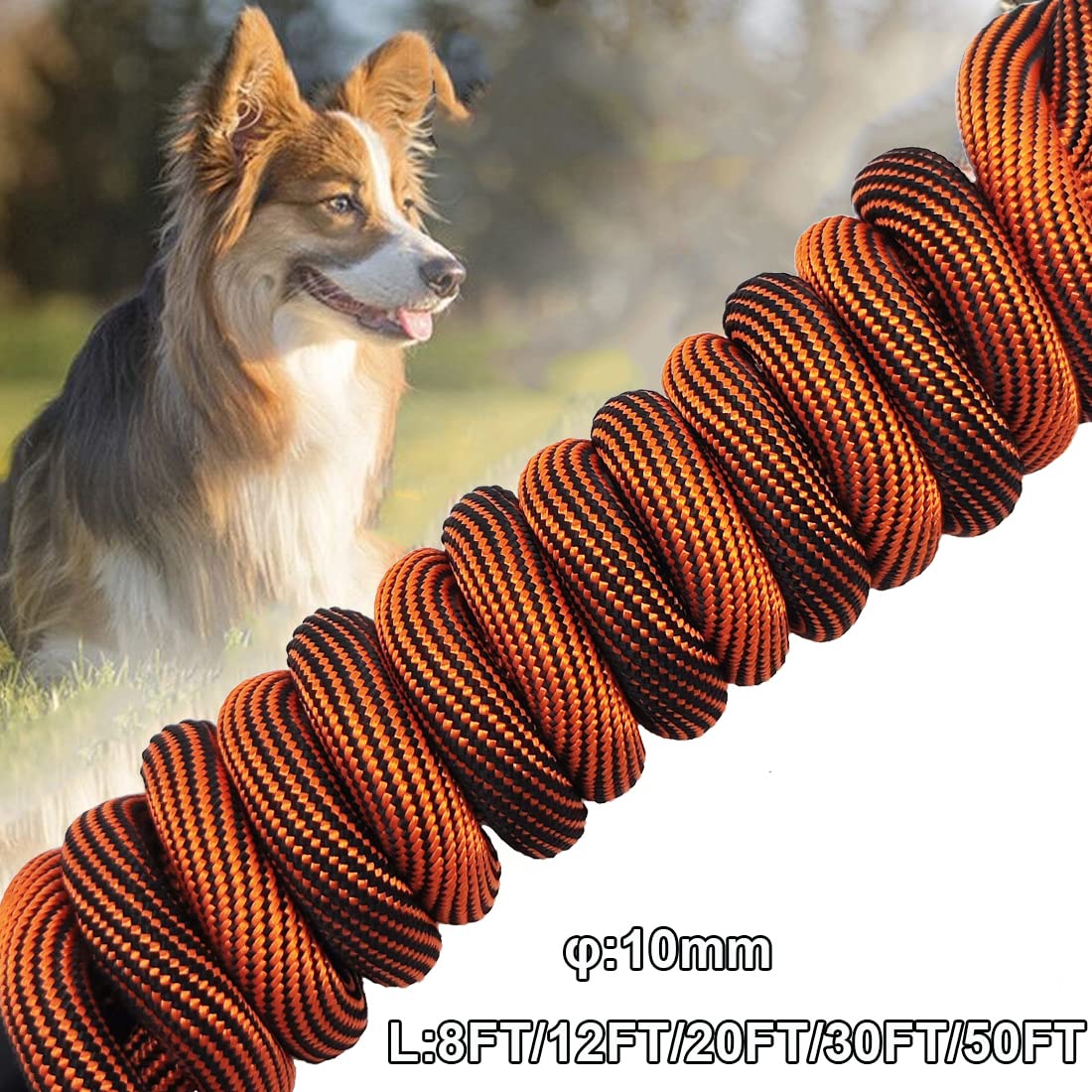 BTINESFUL tie-out rope orange-black 50ft long line for safe supervision of large dogs.