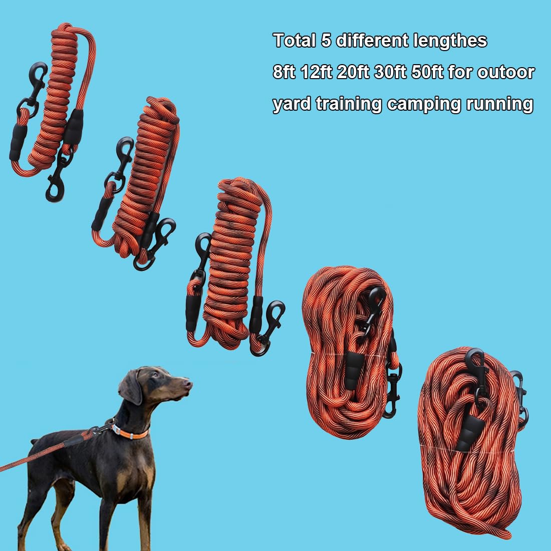 BTINESFUL tie-out rope features rust-proof double-ended clips for reliable tethering