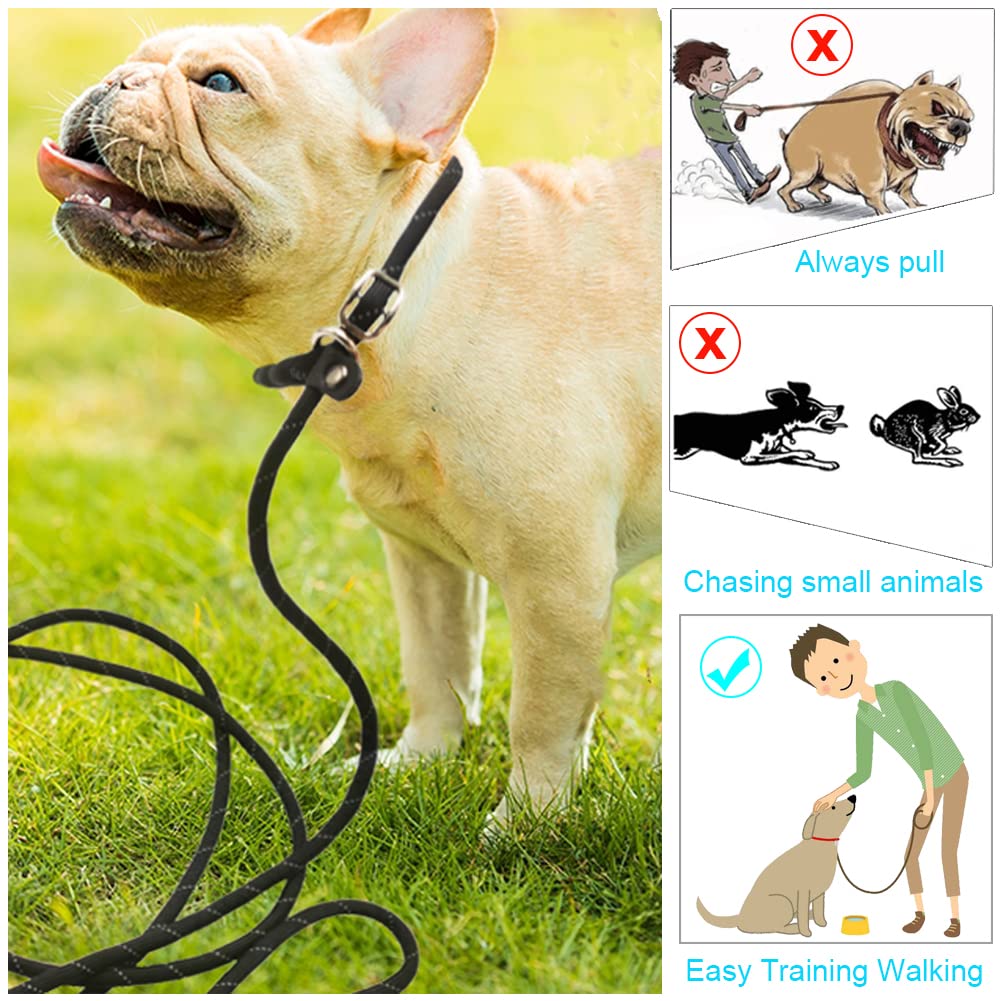 BTINESFUL 2-in-1 leash functions as collar and leash with slider.