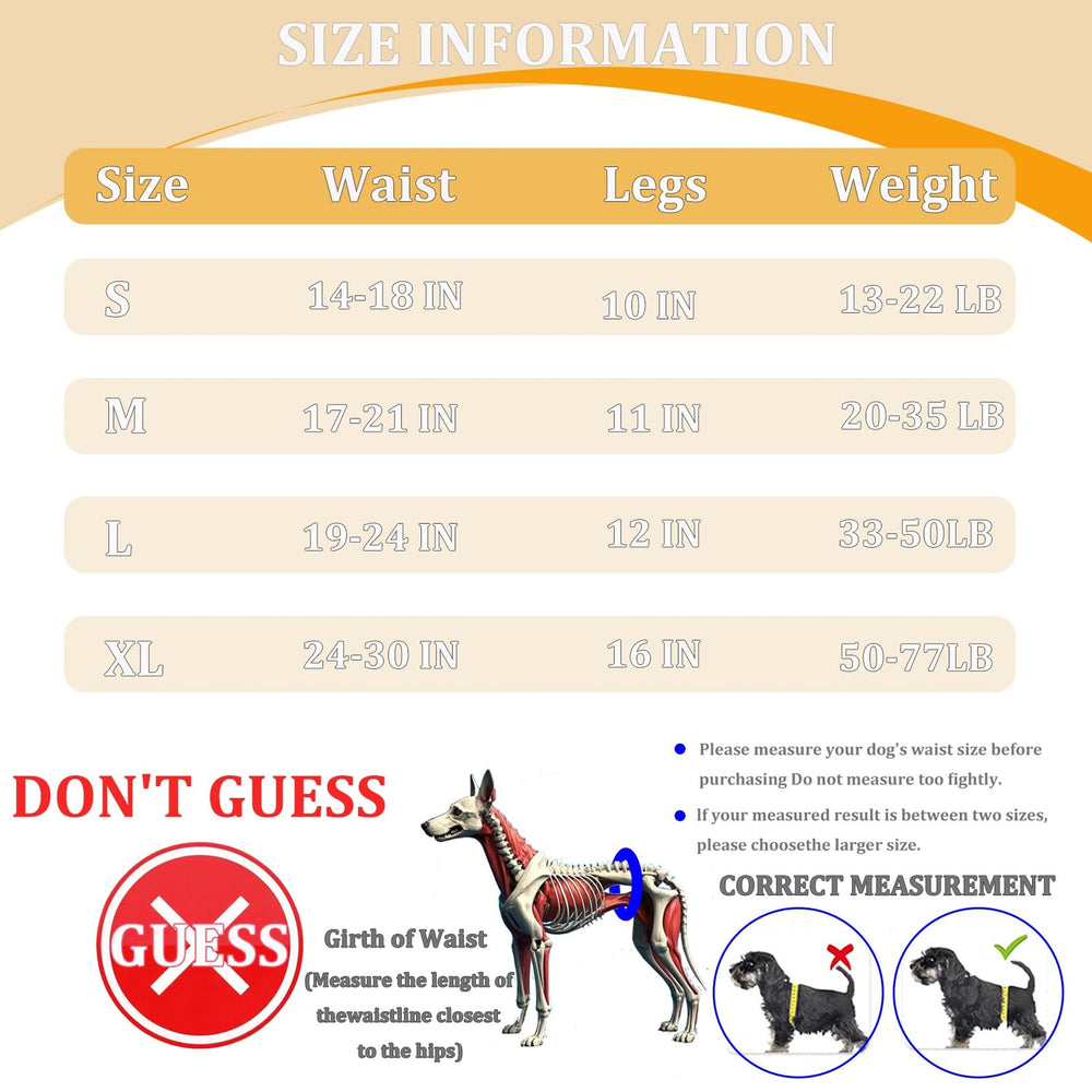 BUALR hind-leg-support-walk sling aids elderly or injured dogs outdoors.