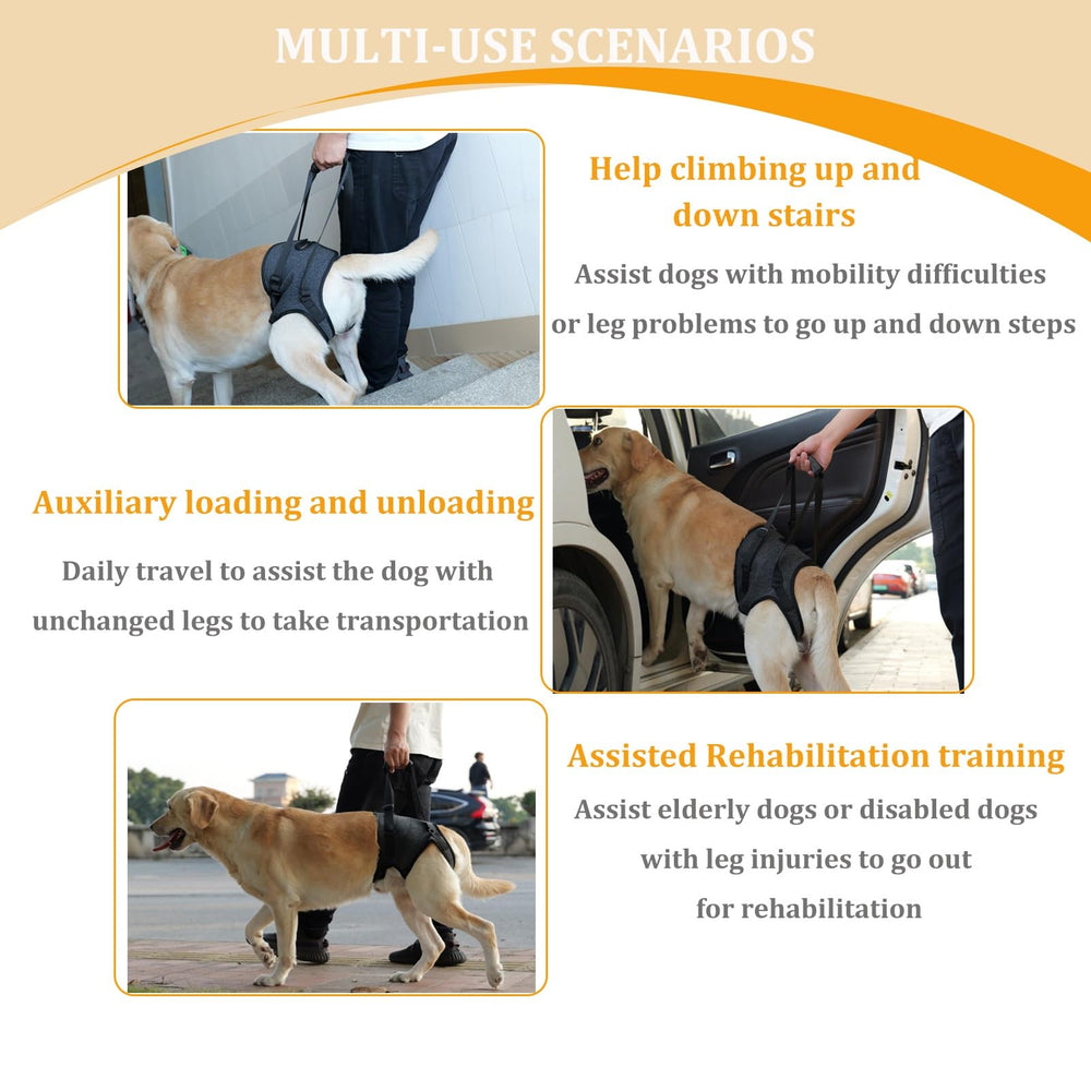BUALR dual-strap-velcro-design-safety keeps dogs secure during stairs and car rides.