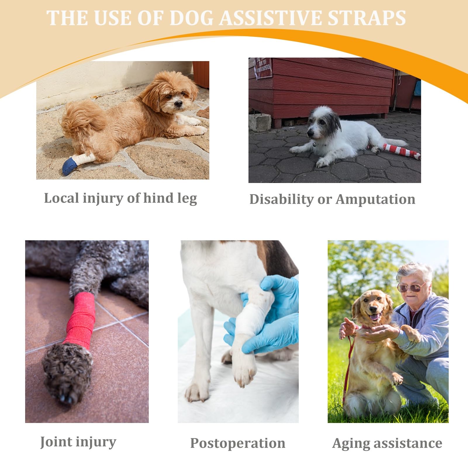 BUALR size-guide-13-77-pounds helps find the best fit across many dogs.