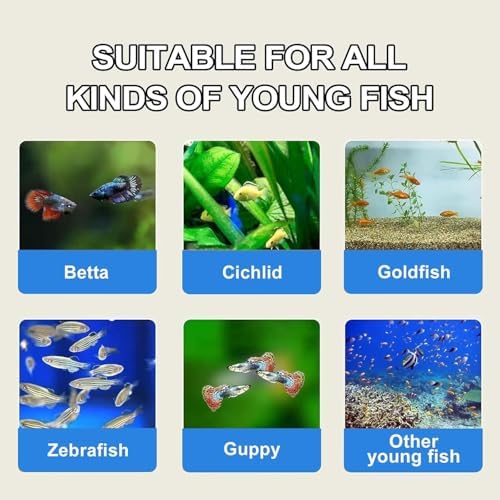 Bubble Magus brine shrimp eggs hatching setup in incubator