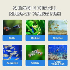 Bubble Magus brine shrimp eggs hatching setup in incubator