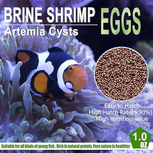 Bubble Magus feeder guppies nutrition for small freshwater fish