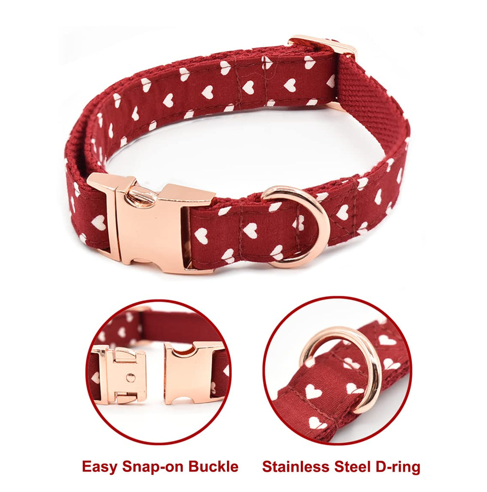 Bubblepup leash-clip-closeup demonstrates reliable hardware built for everyday walks.