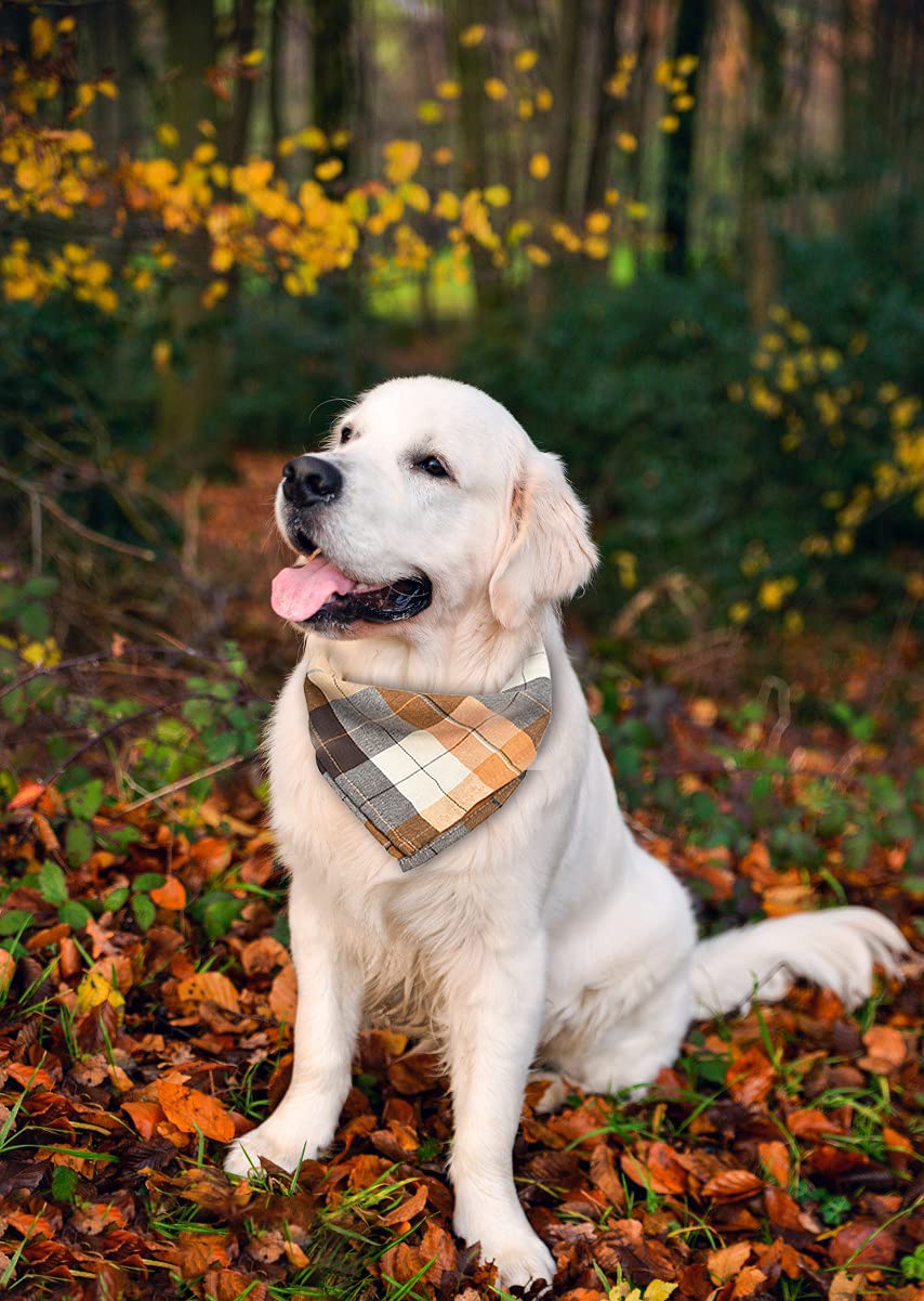 Bubblepup plaid dog bandana colorways give gender-neutral style for daily wear