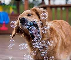 Bubbletastic dog bubble sampler peanut-butter scent bottle pouring action