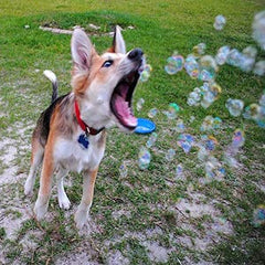 Bubbletastic gift box bubbles in action demonstrates a holiday-ready gift for dogs.