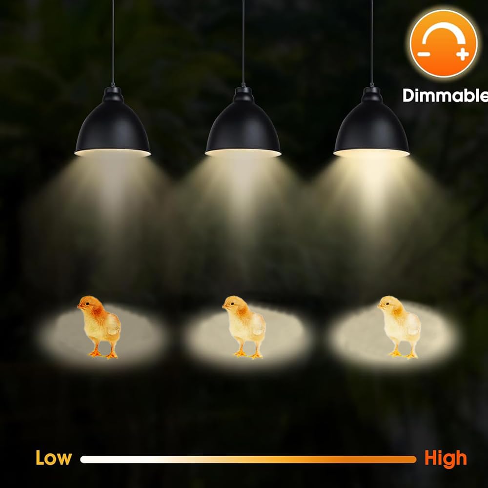 BUBYVV reptile bulb setup demonstrates safe 30cm distance guidance.