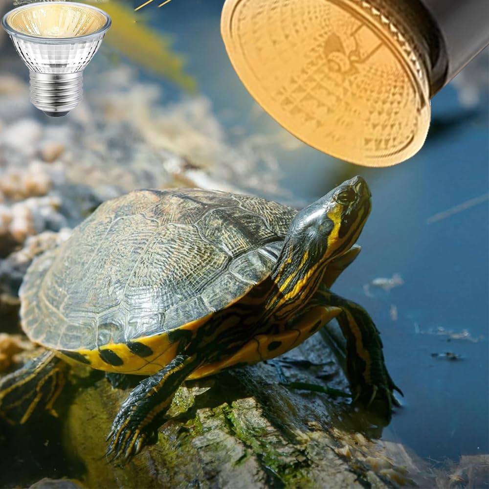 BUBYVV 50W reptile bulb aids iguanas with bone-supporting UV exposure.