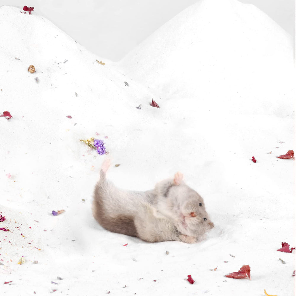 BUCATSTATE bright white sand helps spot oils and freshness needs.