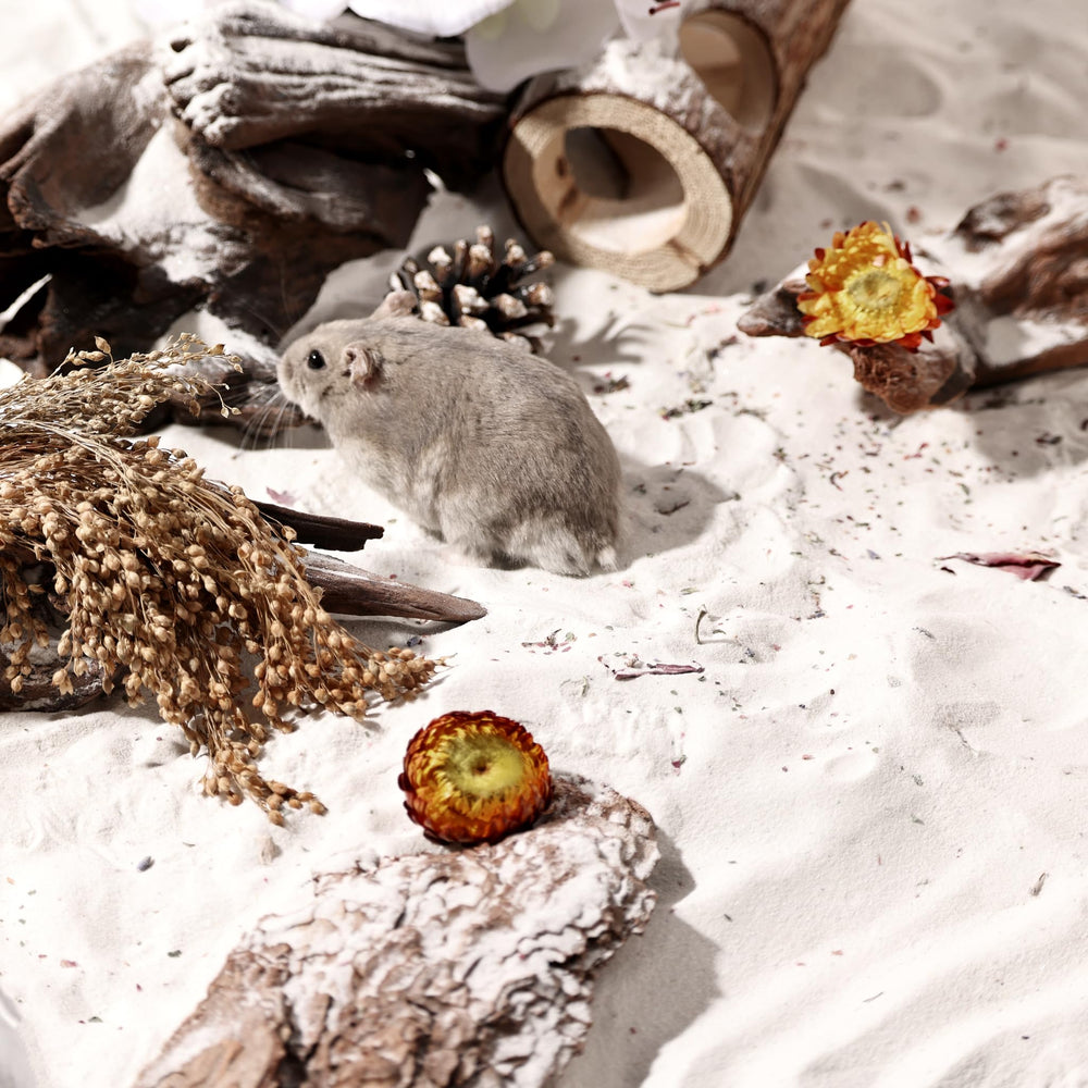 BUCATSTATE hamster bath sand is dust-free for cleaner time.