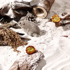 BUCATSTATE hamster bath sand is dust-free for cleaner time.