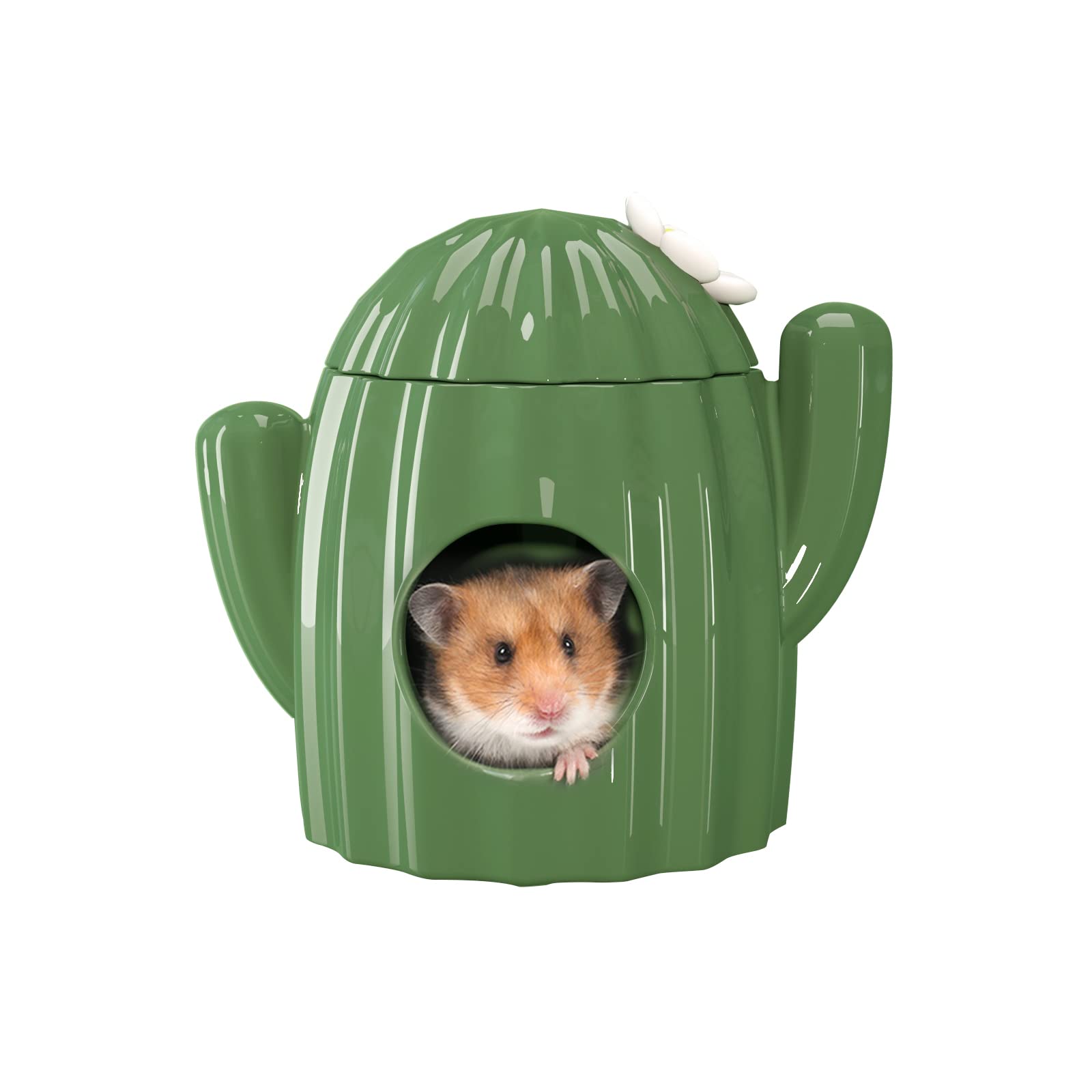 BUCATSTATE ceramic cactus hideout front view shows durable bite resistant shelter