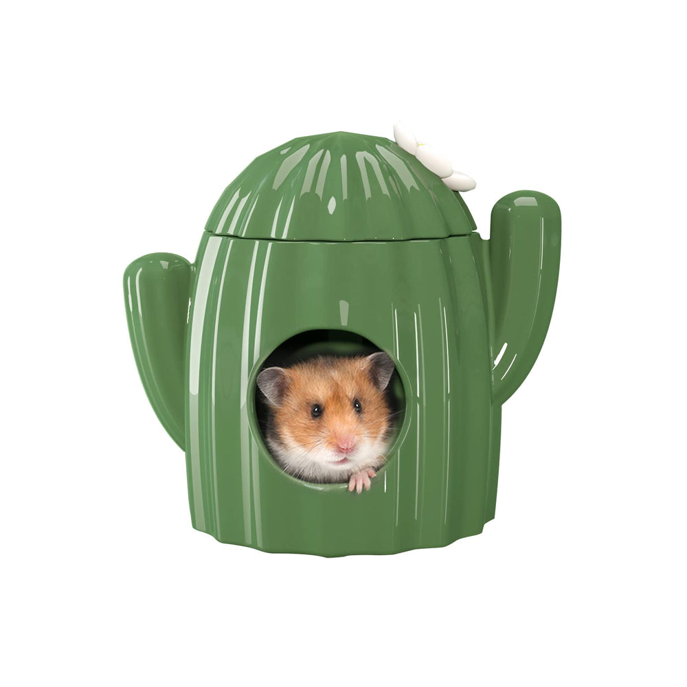 BUCATSTATE ceramic cactus hideout front view shows durable bite resistant shelter