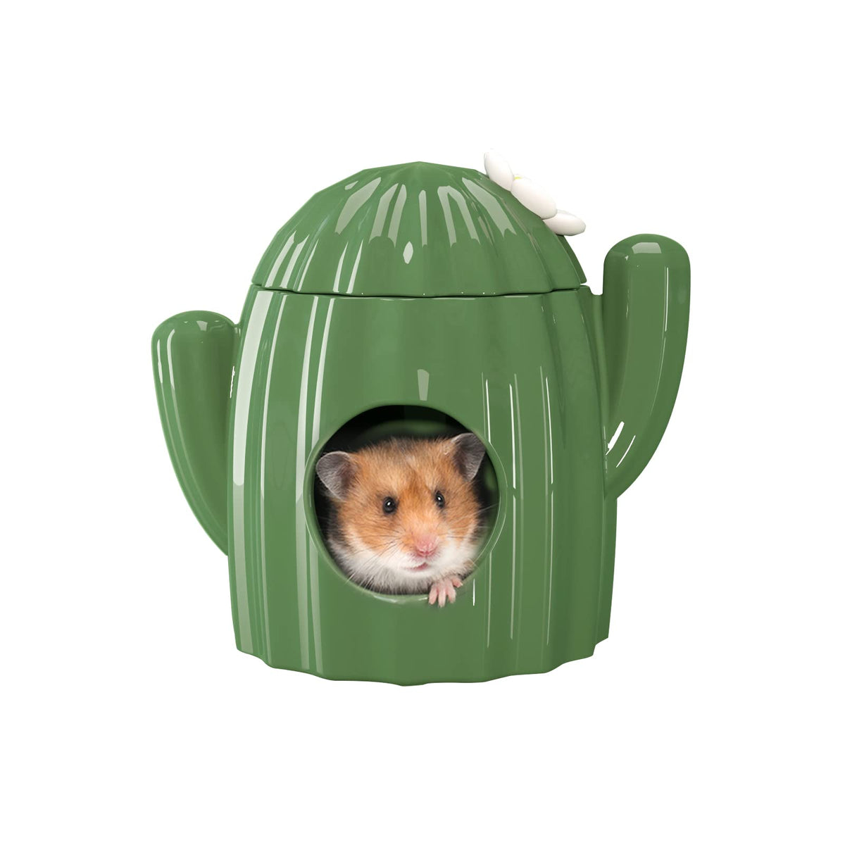 BUCATSTATE ceramic cactus hideout front view shows durable bite resistant shelter
