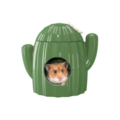 BUCATSTATE ceramic cactus hideout front view shows durable bite resistant shelter
