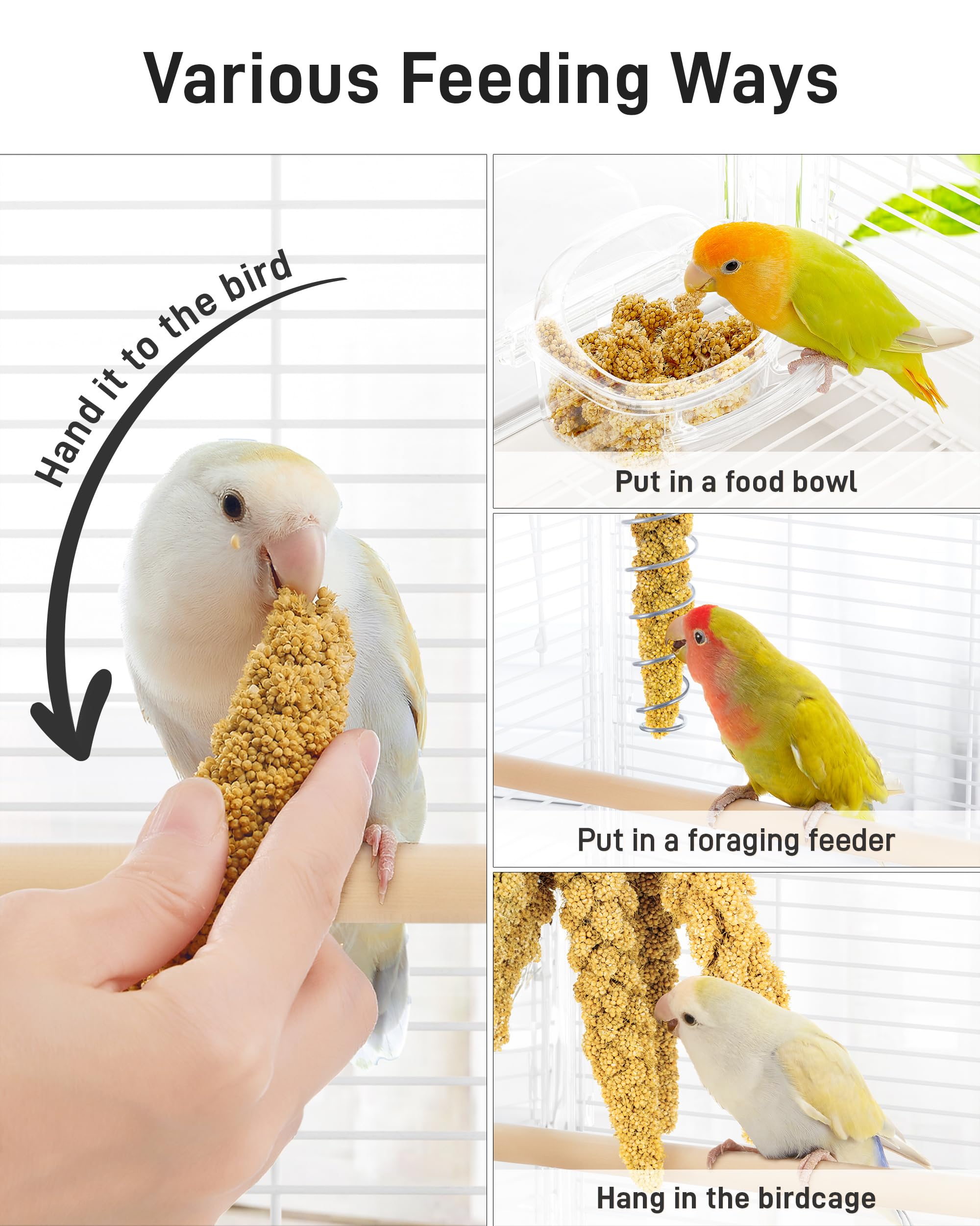 BUCATSTATE millet spray used with a foraging feeder.