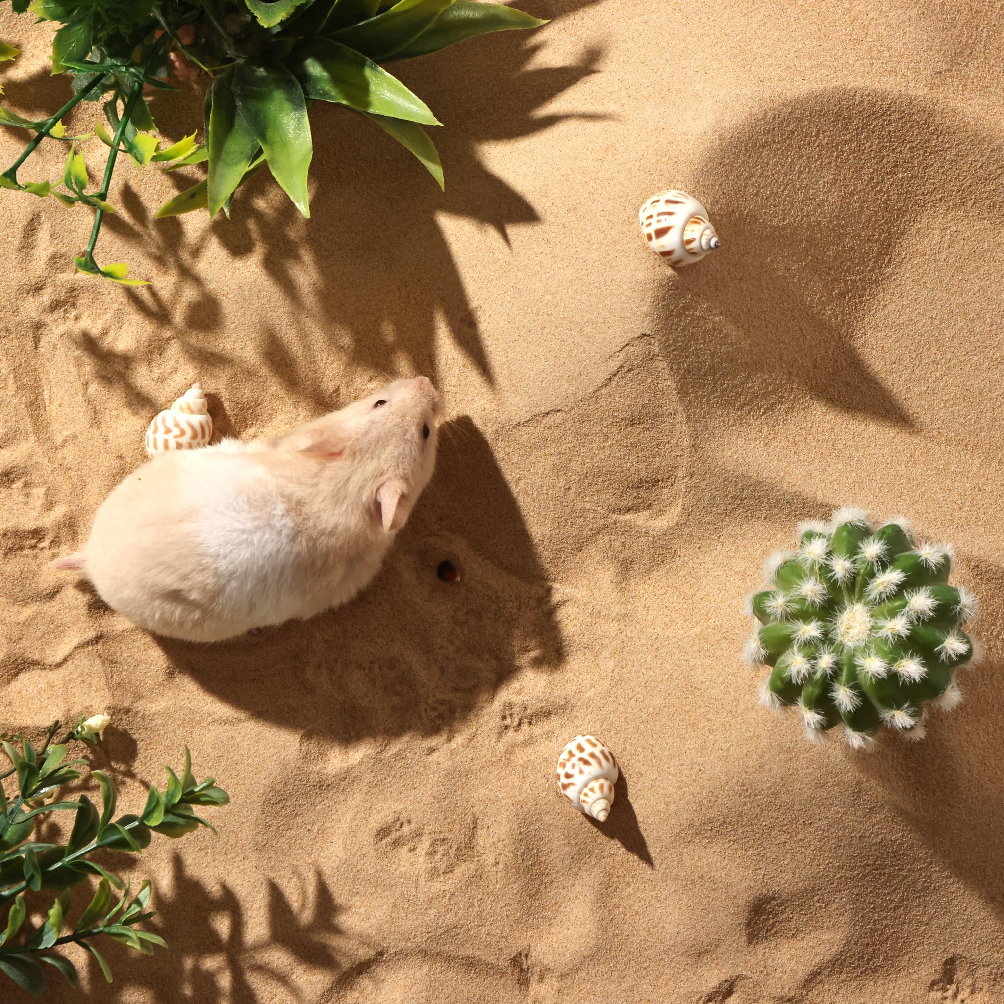 BUCATSTATE odor-control sand quick-drying reduces cage smells.